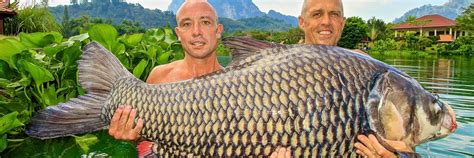 gillhams fishing holidays